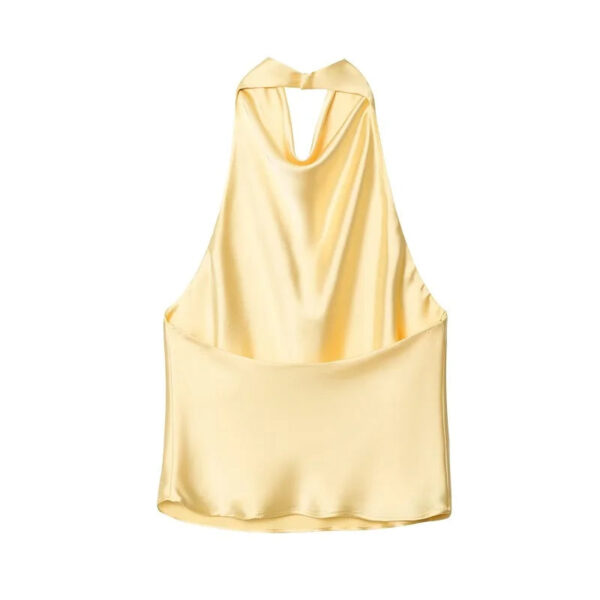 Satin Halter Backless Cami Top Satin Halter Backless Cami Top
